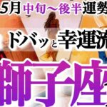 獅子座  5月中旬～後半【大転換！望んだ人生をスタートさせるフェーズへ】シンクロだらけで大興奮！　しし座　2025年　５月運勢　タロットリーディング　Leo　May