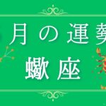 2025年5月の運勢♏️✨蠍座さんへ贈るメッセージ🪽🌿💎✨ #オラクルカード #占い #スターシード #スピリチュアル #恋愛 #12星座#蠍座