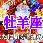 【5月後半/牡羊座】嬉しい！ホッとひと息つける！楽しむ感覚を取り戻す！✨【運勢】【タロット】【おひつじ座】