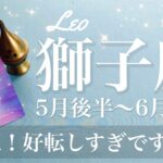 しし座♌️2025年5月後半〜6月前半🌝 最強！強い追い風が来る！夜が終わる嬉しさ、ものすごい大切なものに出会うかも、喜びを噛み締める