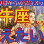 【牡牛座♉️】🌟⚠️超重要メッセージ‼️このタイミングでピンと来たら見てね‼️