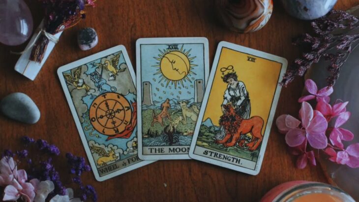 SAGITTARIUS | If You Could Be Anything, What Would You Be?