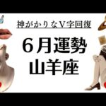 山羊座大好き。ほんとに凄いよ。最高のV字回復と報われ方をするぜーー‼️2025年6月全体運勢♑️仕事恋愛不安解消評価や印象【個人鑑定級タロットヒーリング】