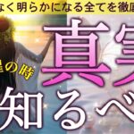【覚醒の瞬間❤️】今、あなたが知るべき真実🫣✨新たな未来への扉が開かれる時‼️個人鑑定級深掘りリーディング［ルノルマン/タロット/オラクルカード］