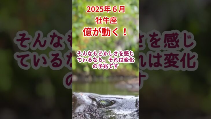 【牡牛座】2025年6月おうし座占い #牡牛座 #おうし座 #shorts