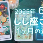 しし座さん♌️2025年6月の運勢タロットリーディング✨