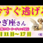 【山羊座】2025年5月11日から17日までのやぎ座の運勢。#山羊座 #やぎ座