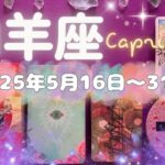 山羊座★2025/5/16～31★運気が一気に変わる重要で豊かな出会いがある！今まで努力を積み重ねてきたことが大成功する時