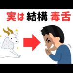 やぎ座の特徴7選