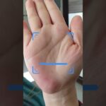 衣食無憂的手相：前半生波折不定！后半生浪止風不停！ #手相 #palmistry #運勢 #事業 #財運 #命理#倪海厦#手相教学 #事業線 #婚姻線#生命線 #感情線 #智慧線