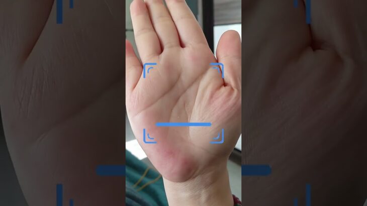 衣食無憂的手相：前半生波折不定！后半生浪止風不停！ #手相 #palmistry #運勢 #事業 #財運 #命理#倪海厦#手相教学 #事業線 #婚姻線#生命線 #感情線 #智慧線