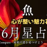 【魚座2025年6月星占い】感情が整うと未来も動き出すし不安に光が差す #魚座