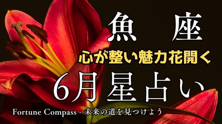 【魚座2025年6月星占い】感情が整うと未来も動き出すし不安に光が差す #魚座