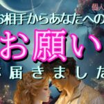お相手からあなたへのお願いが届きました💓恋愛タロット占い