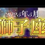 【獅子座♌️5月運勢】あなたの評価がどんどん高まる⤴︎⤴︎⤴︎✨大きなチャンスを逃さないで‼️