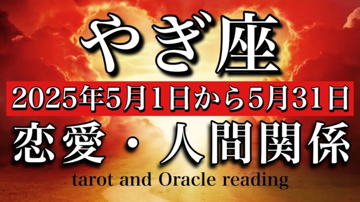 【恋愛・人間関係タロット】やぎ座♑️2025年5月1日から31日まで💫大切に想われているから不安にならないで🧚