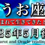 うお座♓︎2025年5月後半 行先が決まる💫愛に囲まれながら生きてきたと知る🧚‍♂️Pisces tarot reading