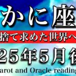 かに座♋︎2025年5月後半 見事な転身☘️古きを離れ求めた世界へ向かう💫Cancer tarot reading