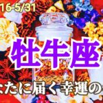 【5月後半/牡牛座】審美眼が冴えわたる！ベストなタイミングで正面突破できる！✨【運勢】【タロット】【おうし座】