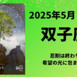 【双子座】耐える忍耐は終わり。解放されて希望に包まれます！！【ふたご座2025年5月16〜31日の運勢】
