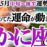 蟹座 5月中旬～後半【重荷を降ろして軌道修正！決断で好転】自分にフォーカス　　蟹座　2025年 5月運勢　タロットリーディング　Cancer May