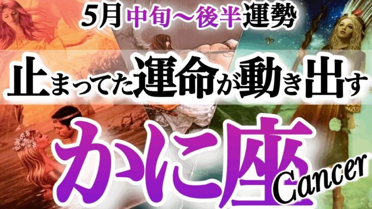蟹座 5月中旬～後半【重荷を降ろして軌道修正！決断で好転】自分にフォーカス　　蟹座　2025年 5月運勢　タロットリーディング　Cancer May