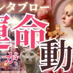 🚨運命が動く‼️夏に向けて恋愛の大転機到来❤️グランタブローで観る❤️［占い/タロット/オラクル/ルノルマン/チャネリング/恋愛/仕事/潜在意識/統合調和］