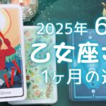 乙女座さん♍️2025年6月の運勢タロットリーディング✨
