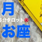 【魚座15分タロット占い】5月運勢・うお座さん！いざ新たなステージへ！【タロット・オラクル・コーヒーカードリーディング】