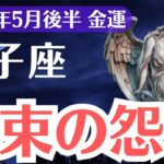 【獅子座】2025年5月後半、しし座、頑張ってもお金にならない本当の理由