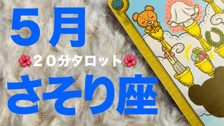 【蠍座20分タロット占い】5月運勢・さそり座さん！次どの道を選ぶ？新たなステージへ！【タロット・オラクル・コーヒーカードリーディング】