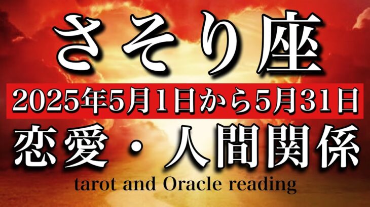 【恋愛・人間関係タロット】さそり座♏︎2025年5月1日から31日まで💫リードしてみてOK⭐️