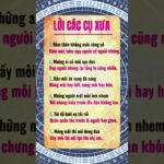 Lá Số Tử Vi Trọn Đời – Hé Lộ Vận Mệnh Giàu Nghèo Ai Cũng Nên Biết | MANH HÀ PHONG THỦY #tuvitrondoi