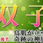 双子座 【 ふたご座 ♊ 】(2025年5月後半)ついに来た🔑運命の波！努力が実を結ぶ奇跡の展開。✨🔑 双子座 2025 タロット占い