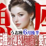 【15分でわかる！うお座6月後半】【癒しの眠れる占い】
