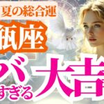 【2025 水瓶座の夏】2025年6月7月8月みずがめ座のヤバすぎる大吉報！