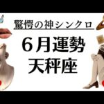 天秤座、マジで世界が変わる。ついに運命の歯車が動き出す！！！一気に大好転の2025年6月全体運勢♎️仕事恋愛不安解消評価や印象【個人鑑定級タロットヒーリング】