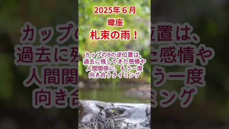 【蠍座】2025年6月さそり座占い #蠍座 #さそり座 #shorts