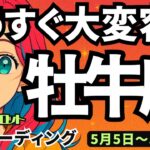 【牡牛座】♉️2025年5月5日の週♉️大変容が近い🌈辛さ悲しみを根本的に‼️終わらせて旅立つ😊タロットリーディング🍀