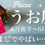 うお座♓️2025年5月後半〜6月前半🌝 人生変えたい人は絶対見てほしい！ものすごい逆転、すべて繋がる、最後の箱の蓋が開く、全く想定外の大きな希望