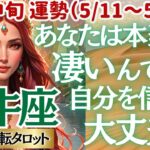 【♉牡牛座さん💖5月中旬運勢】〈大丈夫💖あなたは本当に素晴らしい✨ 不安から未来を決めないで😭この先は自分の心に素直に生きて👍〉 人生幸転タロットリーディング 占い おうし座 太陽星座・月星座