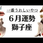 獅子座スッゲーー‼️一番うれしいやつ来るわ。何も心配ない2025年6月全体運勢♌️仕事恋愛不安解消・評価や印象【個人鑑定級タロットヒーリング】