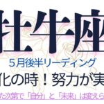 おうし座♉️さぁ、いよいよ望む高みへ❗️実りを手にし、さらに受け取るあなたは華麗に輝く❗️