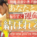 【最初の印象は⚫︎😳！】あなたと結ばれる人❤️運命的❤️もう出会ってる？その人の特徴 出会い 惹かれ合う理由がありました【タロット 恋愛】no.575