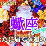 【5月後半/蠍座】ずっと超えられなかったラインを超える！幸せに一直線！✨【運勢】【タロット】【さそり座】