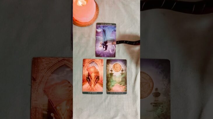 5月の乙女座さん運勢♍️ #占い #5月の運勢 #タロットリーディング #占い #tarot ♌️乙女座 #おとめ座 #西洋占星術 #12星座 #タロット