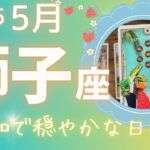 【獅子座】♌️2025年5月🍓気付きと学びがある1ヶ月🌈平和で幸せなコミュニティを大事にしてください