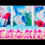 【衝撃告白❤️】あの人が正直すぎる気持ち💗を語ってくれました💌あの人の本音　伝えたい思いを深掘り！個人鑑定級透視タロット✨