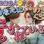【タロット】今あなたにめちゃくちゃ惹かれている人⚡️何人いる？1番惹かれている人はどんな人？その人からの印象＆本音＆〇〇‼︎【カードリーディング・ルノルマン・オラクル】