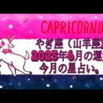 やぎ座（山羊座)・2025年6月の運勢｜今月の星占い.